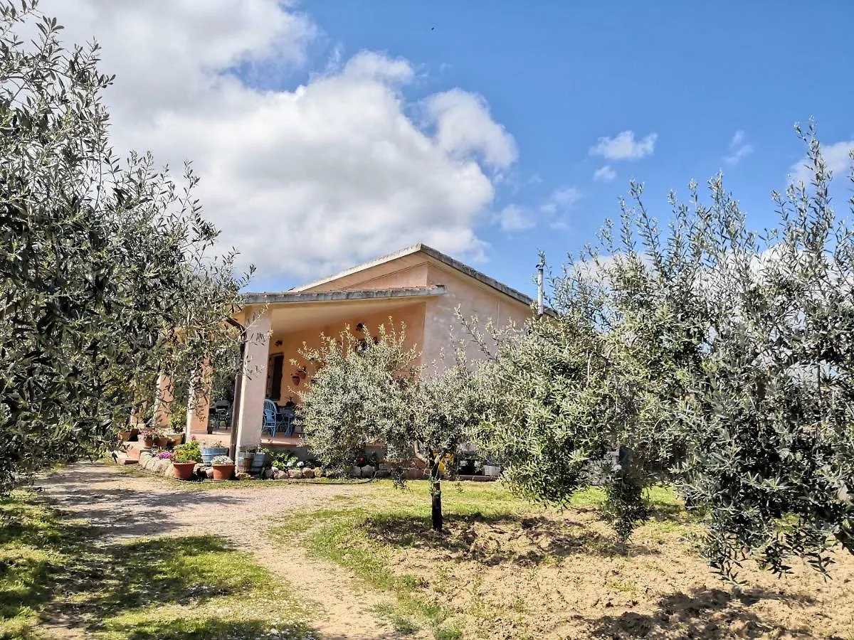 Villa Walter Oliena Holiday home