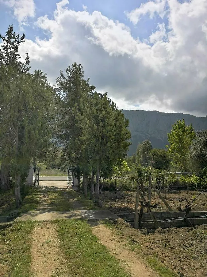 Villa Walter Oliena Holiday home